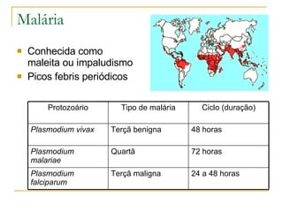 Malária Conhecida como maleita ou impaludismo  Picos febris periódicos 24 a 48 horas Terçã maligna Plasmodium falciparum 72 horas Quartã Plasmodium malariae 48 horas Terçã benigna Plasmodium vivax Ciclo (duração) Tipo de malária Protozoário 