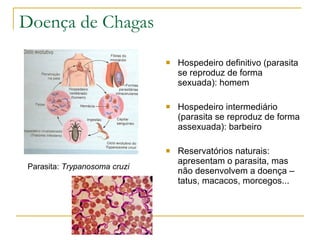 Doença de Chagas Hospedeiro definitivo (parasita se reproduz de forma sexuada): homem Hospedeiro intermediário (parasita se reproduz de forma assexuada): barbeiro Reservatórios naturais: apresentam o parasita, mas não desenvolvem a doença – tatus, macacos, morcegos... Parasita:  Trypanosoma cruzi   