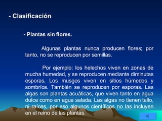 - Clasificación : - Plantas sin flores. Algunas plantas nunca producen flores; por tanto, no se reproducen por semillas. Por ejemplo: los helechos viven en zonas de mucha humedad, y se reproducen mediante diminutas esporas .  Los musgos viven en sitios húmedos y sombríos. También se reproducen por esporas. Las algas son plantas acuáticas, que viven tanto en agua dulce como en agua salada. Las algas no tienen tallo, ni raíces, por eso algunos científicos no las incluyen en el reino de las plantas.   