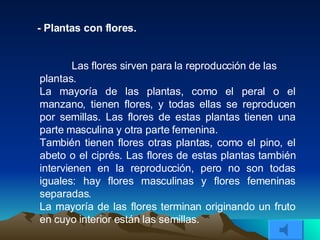 - Plantas con flores. Las flores sirven para la reproducción de las plantas. La mayoría de las plantas, como el peral o el manzano, tienen flores, y todas ellas se reproducen por semillas. Las flores de estas plantas tienen una parte masculina y otra parte femenina. También tienen flores otras plantas, como el pino, el abeto o el ciprés. Las flores de estas plantas también intervienen en la reproducción, pero no son todas iguales: hay flores masculinas y flores femeninas separadas.  La mayoría de las flores terminan originando un fruto en cuyo interior están las semillas. 