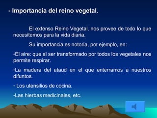 - Importancia del reino vegetal. El extenso Reino Vegetal, nos provee de todo lo que necesitemos para la vida diaria.  Su importancia es notoria, por ejemplo, en: El aire: que al ser transformado por todos los vegetales nos permite respirar. La madera del ataud en el que enterramos a nuestros difuntos. Los utensilios de cocina. Las hierbas medicinales, etc. 