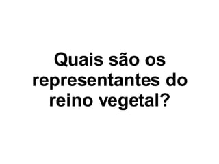 Quais são os representantes do reino vegetal? 