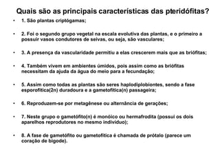 Quais são as principais características das pteridófitas? 1. São plantas criptógamas; 2. Foi o segundo grupo vegetal na escala evolutiva das plantas, e o primeiro a possuir vasos condutores de seivas, ou seja, são vasculares; 3. A presença da vascularidade permitiu a elas crescerem mais que as briófitas; 4. Também vivem em ambientes úmidos, pois assim como as briófitas necessitam da ajuda da água do meio para a fecundação; 5. Assim como todas as plantas são seres haplodiplobiontes, sendo a fase esporofítica(2n) duradoura e a gametofítica(n) passageira; 6. Reproduzem-se por metagênese ou alternância de gerações; 7. Neste grupo o gametófito(n) é monóico ou hermafrodita (possui os dois aparelhos reprodutores no mesmo indivíduo); 8. A fase de gametófito ou gametofítica é chamada de prótalo (parece um coração de bigode). 