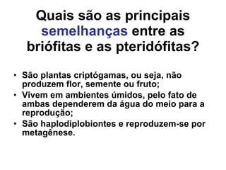 Quais são as principais  semelhanças  entre as briófitas e as pteridófitas? São plantas criptógamas, ou seja, não produzem flor, semente ou fruto; Vivem em ambientes úmidos, pelo fato de ambas dependerem da água do meio para a reprodução; São haplodiplobiontes e reproduzem-se por metagênese. 