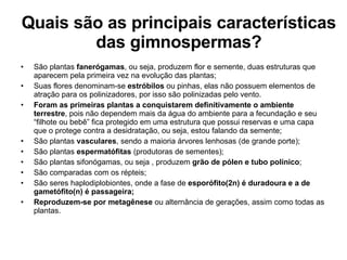 Quais são as principais características das gimnospermas? São plantas  fanerógamas , ou seja, produzem flor e semente, duas estruturas que aparecem pela primeira vez na evolução das plantas; Suas flores denominam-se  estróbilos  ou pinhas, elas não possuem elementos de atração para os polinizadores, por isso são polinizadas pelo vento. Foram as primeiras plantas a conquistarem definitivamente o ambiente terrestre , pois não dependem mais da água do ambiente para a fecundação e seu “filhote ou bebê” fica protegido em uma estrutura que possui reservas e uma capa que o protege contra a desidratação, ou seja, estou falando da semente; São plantas  vasculares , sendo a maioria árvores lenhosas (de grande porte); São plantas  espermatófitas  (produtoras de sementes); São plantas sifonógamas, ou seja , produzem  grão de pólen e tubo polínico ; São comparadas com os répteis; São seres haplodiplobiontes, onde a fase de  esporófito(2n) é duradoura e a de gametófito(n) é passageira; Reproduzem-se por metagênese  ou alternância de gerações, assim como todas as plantas.  