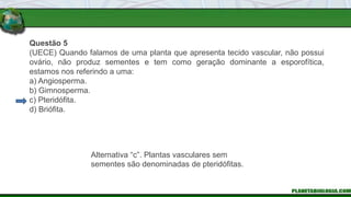 Questão 5
(UECE) Quando falamos de uma planta que apresenta tecido vascular, não possui
ovário, não produz sementes e tem como geração dominante a esporofítica,
estamos nos referindo a uma:
a) Angiosperma.
b) Gimnosperma.
c) Pteridófita.
d) Briófita.
Alternativa “c”. Plantas vasculares sem
sementes são denominadas de pteridófitas.
 