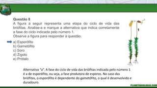 Questão 8
A figura a seguir representa uma etapa do ciclo de vida das
briófitas. Analise-a e marque a alternativa que indica corretamente
a fase do ciclo indicada pelo número 1.
Observe a figura para responder à questão.
a) Esporófito
b) Gametófito
c) Soro
d) Zigoto
e) Prótalo
Alternativa “a”. A fase do ciclo de vida das briófitas indicada pelo número 1
é a de esporófito, ou seja, a fase produtora de esporos. No caso das
briófitas, o esporófito é dependente do gametófito, o qual é desenvolvido e
duradouro.
 