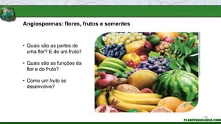• Quais são as partes de
uma flor? E de um fruto?
Angiospermas: flores, frutos e sementes
• Como um fruto se
desenvolve?
• Quais são as funções da
flor e do fruto?
VALENTYN
VOLKOV
/
SHUTTERSTOCK
/
GLOW
IMAGES
52
 