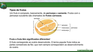 Tipos de frutos
Fruto e fruta têm significados diferentes!
Um fruto é composto, basicamente, de pericarpo e semente. Frutos com o
pericarpo suculento são chamados de frutos carnosos.
O fruto corresponde ao ovário desenvolvido. O termo popular fruta indica as
partes comestíveis da flor, que nem sempre correspondem ao desenvolvimento
do ovário.
HIROE
SASAKI
/
ARQUIVO
DA
EDITORA
semente
epicarpo
mesocarpo
endocarpo
pericarpo
60
 