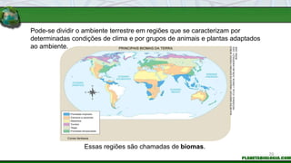 Pode-se dividir o ambiente terrestre em regiões que se caracterizam por
determinadas condições de clima e por grupos de animais e plantas adaptados
ao ambiente.
Essas regiões são chamadas de biomas.
KLN
ARTES
GRÁFICAS
/
ARQUIVO
DA
EDITORA;
FONTES:
WORLD
REFERENCE
ATLAS.
LONDON,
DORLING
KINDERSLEY,
2003;
IBAMA,
2008.
70
 