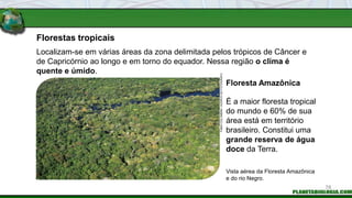 Florestas tropicais
É a maior floresta tropical
do mundo e 60% de sua
área está em território
brasileiro. Constitui uma
grande reserva de água
doce da Terra.
Vista aérea da Floresta Amazônica
e do rio Negro.
Localizam-se em várias áreas da zona delimitada pelos trópicos de Câncer e
de Capricórnio ao longo e em torno do equador. Nessa região o clima é
quente e úmido.
Floresta Amazônica
FABIO
COLOMBINI
/
ACERVO
DO
FOTÓGRAFO
78
 
