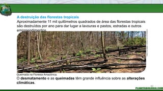A destruição das florestas tropicais
O desmatamento e as queimadas têm grande influência sobre as alterações
climáticas.
Queimada na Floresta Amazônica.
Aproximadamente 11 mil quilômetros quadrados de área das florestas tropicais
são destruídos por ano para dar lugar a lavouras e pastos, estradas e outros
empreendimentos.
FABIO
COLOMBINI
/
ACERVO
DO
FOTÓGRAFO
82
 