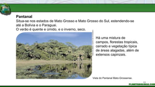 Pantanal
Há uma mistura de
campos, florestas tropicais,
cerrado e vegetação típica
de áreas alagadas, além de
extensos capinzais.
Vista do Pantanal Mato-Grossense.
FABIO
COLOMBINI
/
ACERVO
DO
FOTÓGRAFO
Situa-se nos estados de Mato Grosso e Mato Grosso do Sul, estendendo-se
até a Bolívia e o Paraguai.
O verão é quente e úmido, e o inverno, seco.
89
 