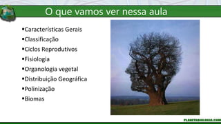 O que vamos ver nessa aula
Características Gerais
Classificação
Ciclos Reprodutivos
Fisiologia
Organologia vegetal
Distribuição Geográfica
Polinização
Biomas
 