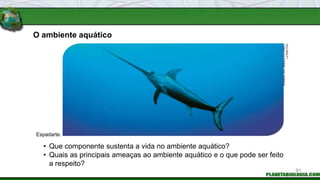 O ambiente aquático
• Que componente sustenta a vida no ambiente aquático?
• Quais as principais ameaças ao ambiente aquático e o que pode ser feito
a respeito?
Espadarte.
NORBERT
WU
/
MINDEN
PICTURES
/
LATINSTOCK
91
 