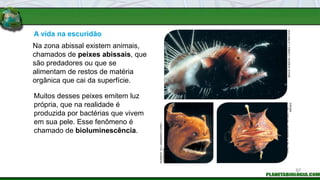 Na zona abissal existem animais,
chamados de peixes abissais, que
são predadores ou que se
alimentam de restos de matéria
orgânica que cai da superfície.
Muitos desses peixes emitem luz
própria, que na realidade é
produzida por bactérias que vivem
em sua pele. Esse fenômeno é
chamado de bioluminescência.
A vida na escuridão
BRUCE
ROBSON
/
CORBIS
/
LATINSTOCK
NORBERT
WU
/
MINDENPICTURES
/
LATINSTOCK
DARLYNE
A.
MURAWSKI
/
NATGEO
/
GETTY
IMAGES
97
 