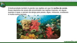 A biodiversidade também é grande nas regiões em que há recifes de corais.
Esses depósitos de corais são encontrados nas regiões tropicais, em águas
quentes e rasas, e servem de abrigo para peixes, algas, moluscos, crustáceos
e muitos outros animais.
MINDEN
PICTURES
/
MINDEN
PICTURES
/
LATINSTOCK
99
 