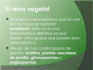 El reino vegetal   Una de las características que las une son su modo de nutrición -  fotosíntesis , pero no es una característica distintiva ya que existen  otros grupos que poseen esta característica. Hoy en día hay cuatro grupos de plantas:  briófitos ,  plantas vasculares sin semilla ,  gimnospermas  y  angiospermas   