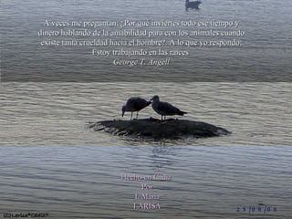 A veces me preguntan: ¿Por qué inviertes todo ese tiempo y dinero hablando de la amabilidad para con los animales cuando existe tanta crueldad hacia el hombre?. A lo que yo respondo: Estoy trabajando en las raíces  George T. Angell Hecho en Cádiz  Por I. Maria LARISA 25/08/09 
