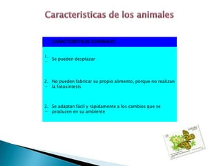 Caracteristicas de los animales