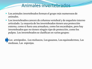 Animales invertebradosLos animales invertebrados forman el grupo más numerosos de animales. Los invertebrados carecen de columna vertebral y de esqueleto interno articulado. La mayoría de los invertebrados tienen una protección externa, como si fuera una armadura, como los escarabajos, pero hay invertebrados que no tienen ningún tipo de protección, como los pulpos. Los invertebrados se clasifican en varios grupos:    Los  artrópodos , Los moluscos, Los gusanos, Los equinodermos, Las  medusas, Las  esponjas.