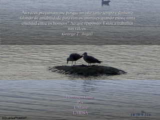 Às vezes preguntam-me porque invisto tanto tempo e dinheiro falando de amabilidade para con os animaies quando existe tanta crueldad entre os homens? Ao que respondo: Estou a trabalhar nas raízes  George T. Angell Hecho en Cádiz  Por I. Maria LARISA 18/05/10 