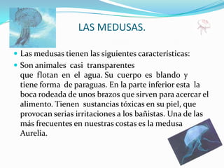 LAS MEDUSAS.Las medusas tienen las siguientes características:Son animales  casi transparentes que  flotan  en  el  agua. Su  cuerpo  es blando  y tiene forma  de paraguas. En la parte inferior esta  la boca rodeada de unos brazos que sirven para acercar el alimento. Tienen  sustancias tóxicas en su piel, que provocan serias irritaciones a los bañistas. Una de las más frecuentes en nuestras costas es la medusa Aurelia.