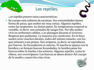 Los reptiles.Los reptiles poseen estas características: Su cuerpo está cubierto de escamas. Sus extremidades tienen forma de patas, que suelen ser muy cortas. Algunos reptiles, como las serpientes, no tienen patas. Su temperatura corporal es variable, es decir, son animales de sangre fría. Por ello suelen vivir en ambientes cálidos, y se aletargan durante el invierno. Respiran por pulmones. La mayoría son carnívoros. En la boca suelen tener muchos dientes, todos del mismo tamaño, con los que retienen a sus presas. Son ovíparos, es decir, se reproducen por huevos. Su fecundación es interna. El macho se aparea con la hembra y se forman huevos fecundados. la hembra pone los huevos sobre la hierba o los entierra. Algunos reptiles, como la víbora, son ovovivíparos: Los huevos se abren dentro del cuerpo de la madre y nacen las crías vivas.