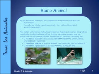 Tema:  Los  Animales Reino Animal Agrupa a todos los seres vivos que cumplen con las siguientes características: ,[object Object]