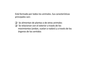 Está formado por todos los animales. Sus características principales son: Se alimentan de plantas o de otros animales