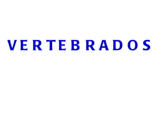 MOLUSCOS Tienen el cuerpo blando y pueden tener concha. 