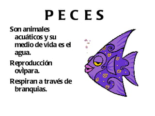 Respiran por pulmones o por branquias. 