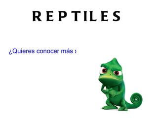 ANTRÓPODOS Forman el grupo más numeroso del reino animal. 