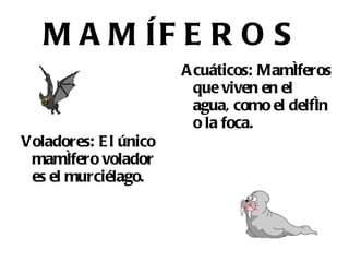 PECES Son animales acuáticos y su medio de vida es el agua. 