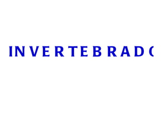 INVERTEBRADOS 