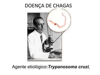 DOENÇA DE CHAGAS prof. Eduardo Agente etiológico : Trypanosoma   cruzi ,  