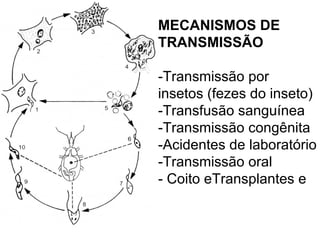 MECANISMOS DE TRANSMISSÃO -Transmissão por insetos (fezes do inseto) -Transfusão sanguínea -Transmissão congênita -Acidentes de laboratório -Transmissão oral - Coito eTransplantes e 