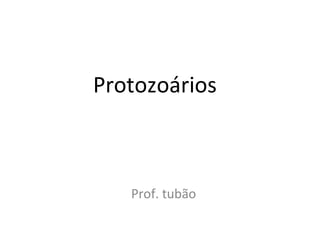 Protozoários Prof. tubão 