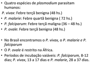 Quatro espécies de  plasmodium  parasitam humanos: P. vivax : Febre terçã benigna (48 hs.) P. malarie : Febre quartã benigna (   72 hs.) P. falciparum : Febre terçã maligna (36 – 48 hs.) P. ovale : Febre terçã benigna (48 hs.) No Brasil encontramos o  P. vivax,  o  P. malarie e P. falciparum   O  P. ovale  é restrito na África. Períodos de incubação vaiáveis:  P. falciparum,  8-12 dias;  P. vivax , 13 a 17 dias e  P. malarie , 28 a 37 dias. 
