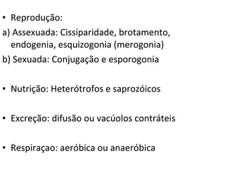 Reprodução:  a) Assexuada: Cissiparidade, brotamento, endogenia, esquizogonia (merogonia) b) Sexuada: Conjugação e esporogonia Nutrição: Heterótrofos e saprozóicos Excreção: difusão ou vacúolos contráteis Respiraçao: aeróbica ou anaeróbica 