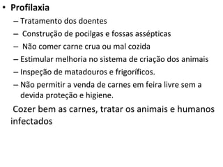 Profilaxia Tratamento dos doentes Construção de pocilgas e fossas assépticas Não comer carne crua ou mal cozida Estimular melhoria no sistema de criação dos animais Inspeção de matadouros e frigoríficos. Não permitir a venda de carnes em feira livre sem a devida proteção e higiene.   Cozer bem as carnes, tratar os animais e humanos infectados 