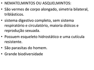 NEMATELMINTOS OU ASQUELMINTOS: São vermes de corpo alongado, simetria bilateral, triblásticos.  sistema digestivo completo, sem sistema respiratório e circulatório, maioria dióicos e reprodução sexuada. Possuem esqueleto hidrostático e uma cutícula resistente. São parasitas do homem. Grande biodiversidade 