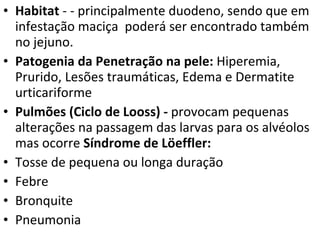 Habitat  - - principalmente duodeno, sendo que em infestação maciça  poderá ser encontrado também no jejuno. Patogenia da Penetração na pele:  Hiperemia, Prurido, Lesões traumáticas, Edema e Dermatite urticariforme  Pulmões (Ciclo de Looss) -  provocam pequenas alterações na passagem das larvas para os alvéolos mas ocorre  Síndrome de Löeffler: Tosse de pequena ou longa duração Febre Bronquite Pneumonia 