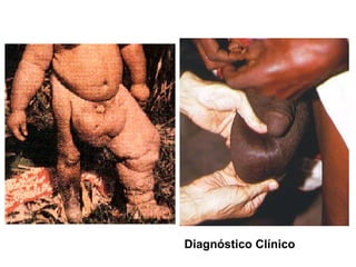 Diagnóstico Clínico 