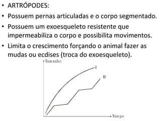 ARTRÓPODES: Possuem pernas articuladas e o corpo segmentado. Possuem um exoesqueleto resistente que impermeabiliza o corpo e possibilita movimentos.  Limita o crescimento forçando o animal fazer as mudas ou ecdises (troca do exoesqueleto).  