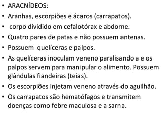 ARACNÍDEOS: Aranhas, escorpiões e ácaros (carrapatos). corpo dividido em cefalotórax e abdome.  Quatro pares de patas e não possuem antenas. Possuem  quelíceras e palpos.  As quelíceras inoculam veneno paralisando a e os palpos servem para manipular o alimento. Possuem glândulas fiandeiras (teias). Os escorpiões injetam veneno através do aguilhão. Os carrapatos são hematófagos e transmitem doenças como febre maculosa e a sarna. 