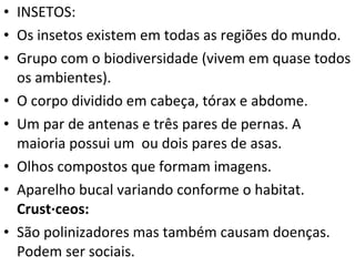 INSETOS: Os insetos existem em todas as regiões do mundo. Grupo com o biodiversidade (vivem em quase todos os ambientes).  O corpo dividido em cabeça, tórax e abdome. Um par de antenas e três pares de pernas. A maioria possui um  ou dois pares de asas. Olhos compostos que formam imagens.  Aparelho bucal variando conforme o habitat.  Crustáceos: São polinizadores mas também causam doenças. Podem ser sociais. 