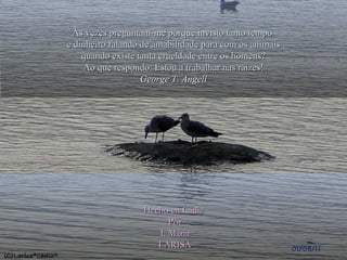Às vezes preguntam-me porque invisto tanto tempo  e dinheiro falando de amabilidade para com os animais quando existe tanta crueldade entre os homens? Ao que respondo: Estou a trabalhar nas raízes! George T. Angell Hecho en Cádiz  Por I. Maria LARISA 01/08/11 