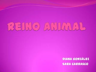 Reino Animal Diana González  Sara Carrasco 