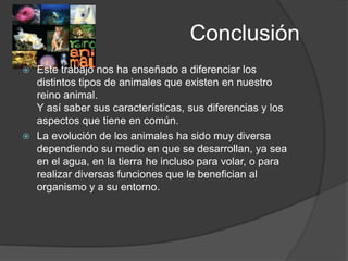 Conclusión
 Este trabajo nos ha enseñado a diferenciar los
  distintos tipos de animales que existen en nuestro
  reino animal.
  Y así saber sus características, sus diferencias y los
  aspectos que tiene en común.
 La evolución de los animales ha sido muy diversa
  dependiendo su medio en que se desarrollan, ya sea
  en el agua, en la tierra he incluso para volar, o para
  realizar diversas funciones que le benefician al
  organismo y a su entorno.
 